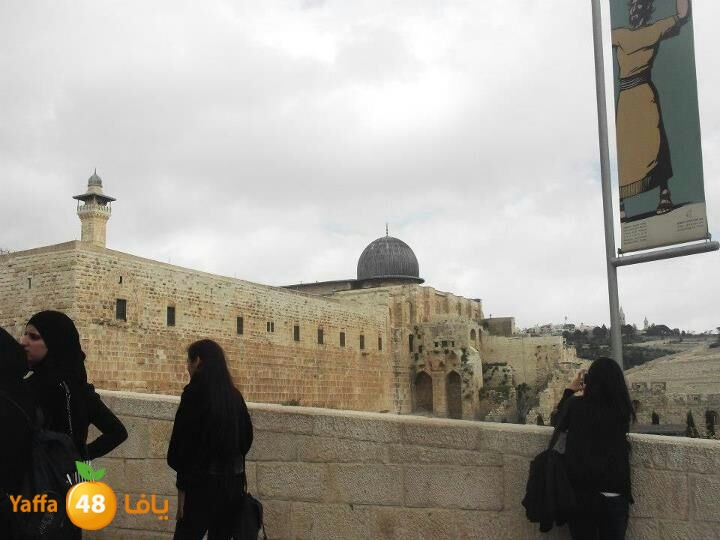 akademylud325 (3).JPG